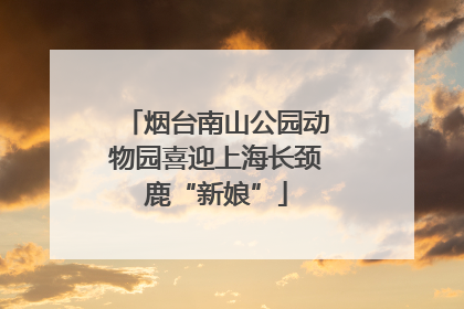 烟台南山公园动物园喜迎上海长颈鹿“新娘”