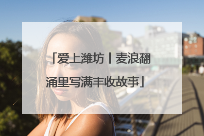 爱上潍坊丨麦浪翻涌里写满丰收故事