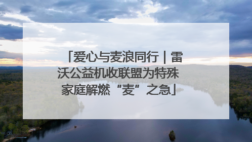 爱心与麦浪同行｜雷沃公益机收联盟为特殊家庭解燃“麦”之急