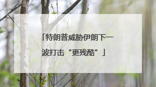特朗普威胁伊朗下一波打击“更残酷”