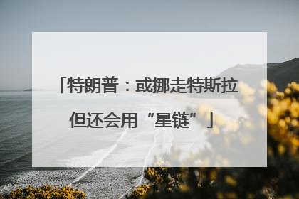 特朗普：或挪走特斯拉 但还会用“星链”