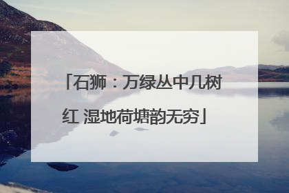 石狮：万绿丛中几树红 湿地荷塘韵无穷
