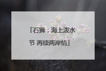 石狮：海上泼水节 再续两岸情