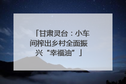 甘肃灵台：小车间榨出乡村全面振兴“幸福油”
