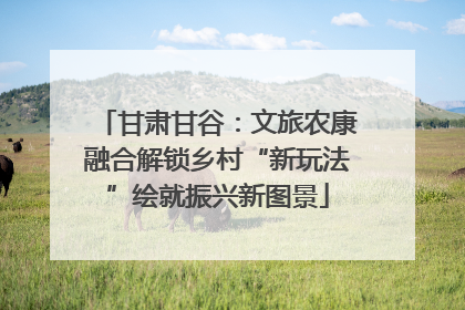 甘肃甘谷：文旅农康融合解锁乡村“新玩法”绘就振兴新图景
