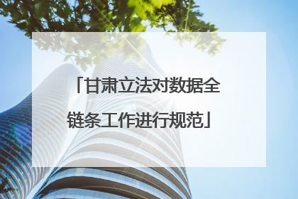 甘肃立法对数据全链条工作进行规范