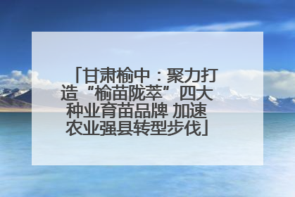 甘肃榆中：聚力打造“榆苗陇萃”四大种业育苗品牌 加速农业强县转型步伐