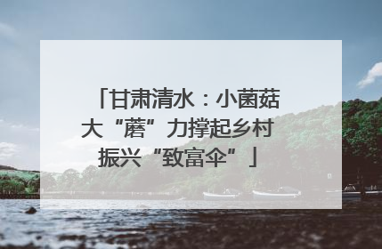 甘肃清水：小菌菇大“蘑”力撑起乡村振兴“致富伞”