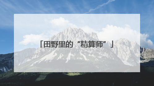 田野里的“精算师”