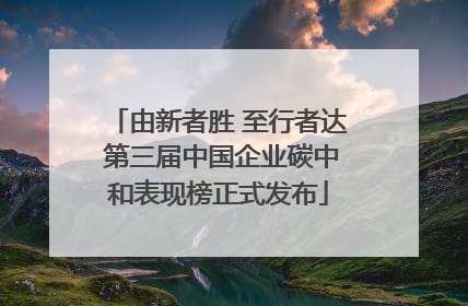 由新者胜 至行者达 第三届中国企业碳中和表现榜正式发布