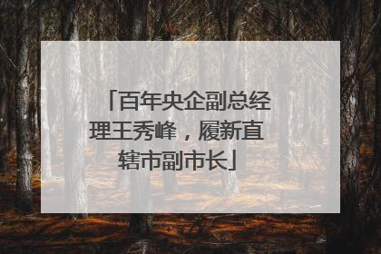 百年央企副总经理王秀峰，履新直辖市副市长
