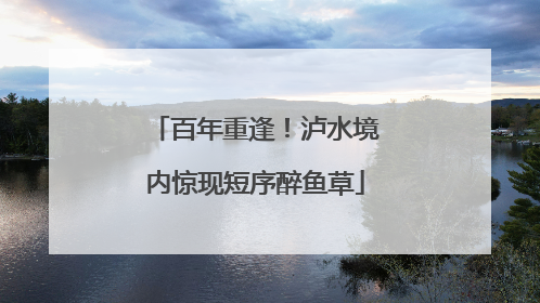 百年重逢！泸水境内惊现短序醉鱼草