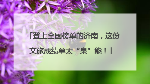 登上全国榜单的济南，这份文旅成绩单太“泉”能！