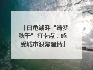 白龟湖畔“绮梦秋千”打卡点：感受城市浪漫温情