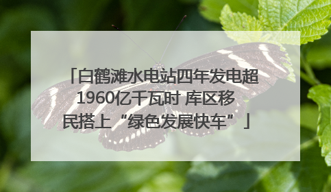 白鹤滩水电站四年发电超1960亿千瓦时 库区移民搭上“绿色发展快车”
