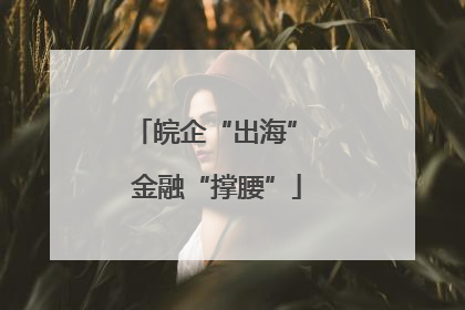 皖企“出海” 金融“撑腰”