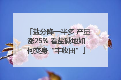 盐分降一半多 产量涨25% 看盐碱地如何变身“丰收田”