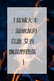 盐城大丰：湿地龙舟竞渡 艾香飘荡野鹿荡