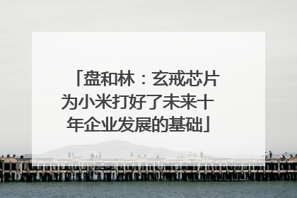 盘和林：玄戒芯片为小米打好了未来十年企业发展的基础
