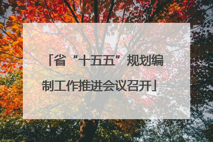 省“十五五”规划编制工作推进会议召开