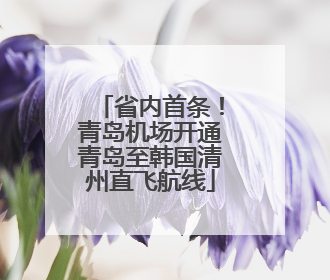 省内首条！青岛机场开通青岛至韩国清州直飞航线