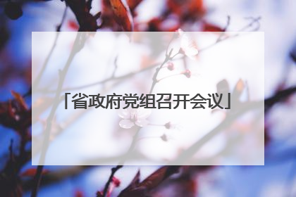 省政府党组召开会议