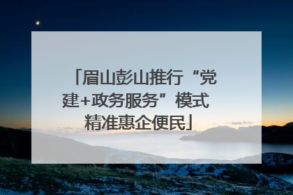 眉山彭山推行“党建+政务服务”模式 精准惠企便民