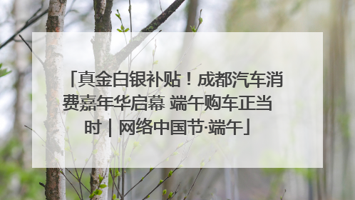 真金白银补贴！成都汽车消费嘉年华启幕 端午购车正当时｜网络中国节·端午