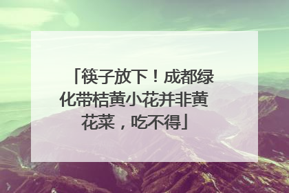 筷子放下！成都绿化带桔黄小花并非黄花菜，吃不得