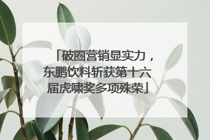 破圈营销显实力，东鹏饮料斩获第十六届虎啸奖多项殊荣