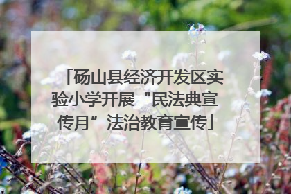 砀山县经济开发区实验小学开展“民法典宣传月”法治教育宣传