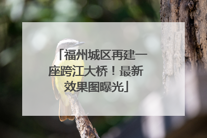 福州城区再建一座跨江大桥！最新效果图曝光