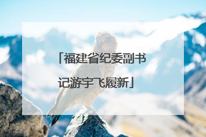 福建省纪委副书记游宇飞履新