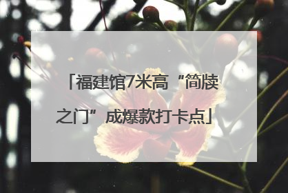 福建馆7米高“简牍之门”成爆款打卡点
