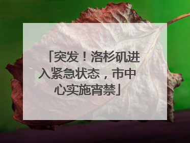 突发！洛杉矶进入紧急状态，市中心实施宵禁