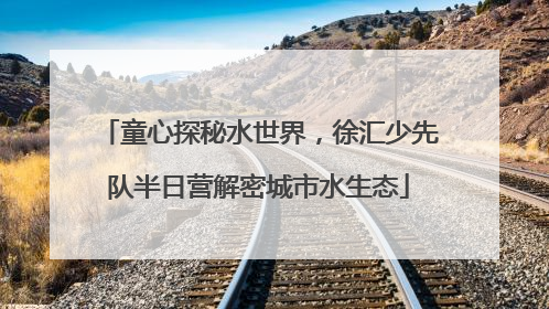 童心探秘水世界，徐汇少先队半日营解密城市水生态
