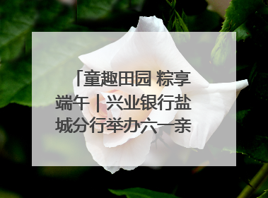 童趣田园 粽享端午｜兴业银行盐城分行举办六一亲子嘉年华活动