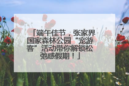 端午佳节，张家界国家森林公园“宠游客”活动带你解锁松弛感假期！