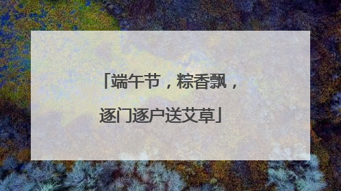 端午节，粽香飘，逐门逐户送艾草