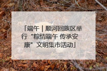 端午｜顺河回族区举行“粽情端午 传承安康”文明集市活动