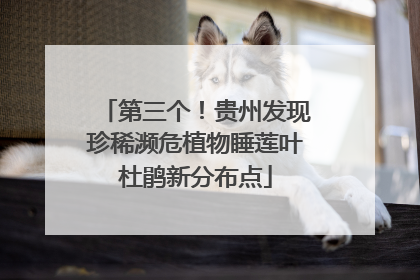 第三个！贵州发现珍稀濒危植物睡莲叶杜鹃新分布点