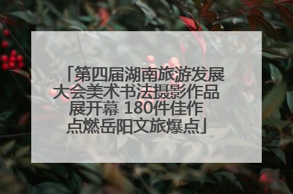 第四届湖南旅游发展大会美术书法摄影作品展开幕 180件佳作点燃岳阳文旅爆点