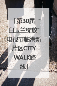 第30届“白玉兰绽放”电视节临港新片区CITY WALK路线
