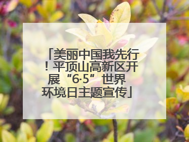 美丽中国我先行！平顶山高新区开展“6·5”世界环境日主题宣传