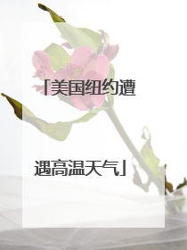 美国纽约遭遇高温天气
