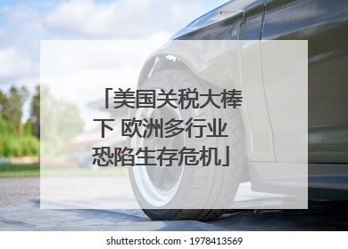 美国关税大棒下 欧洲多行业恐陷生存危机