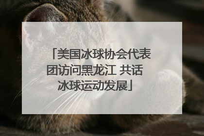 美国冰球协会代表团访问黑龙江 共话冰球运动发展