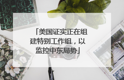 美国证实正在组建特别工作组，以监控中东局势