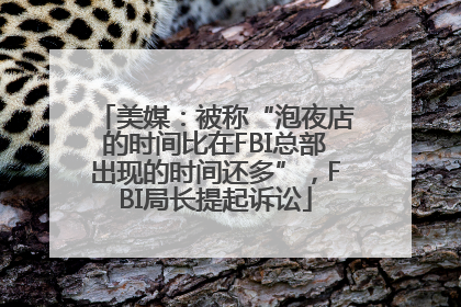 美媒：被称“泡夜店的时间比在FBI总部出现的时间还多”，FBI局长提起诉讼