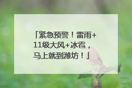 紧急预警！雷雨+11级大风+冰雹，马上就到潍坊！